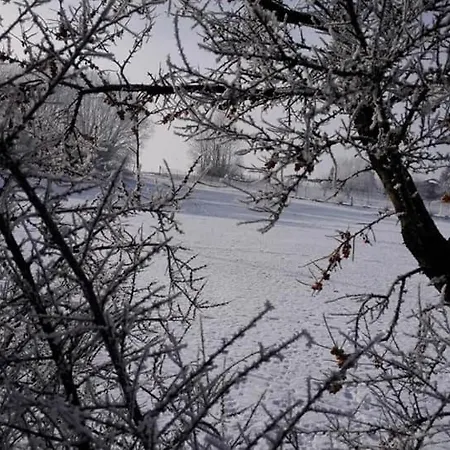 Dovolenkový dom Privat Eva *